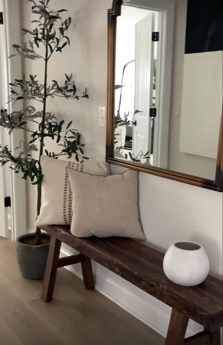 AMBIANCE BOIS FONCEE ENTREE