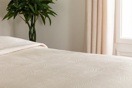 9813dc2f-4858-4836-9b8c-d14b5d532e36